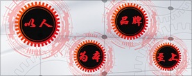 關于中審華